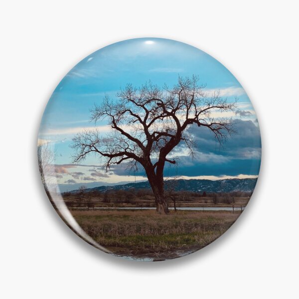 Item preview, Cottonwood Tree in Spring | Fort Collins, Colorado designed and sold by voz-captures.