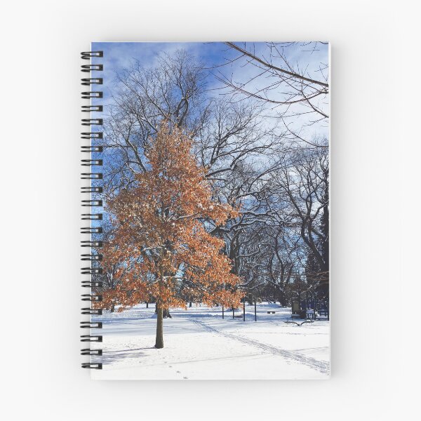 Item preview, Winter in City Park | Fort Collins, Colorado designed and sold by voz-captures.
