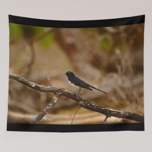 Item preview, A Willie Wagtail On The Moore River designed and sold by Jason Gilbert.