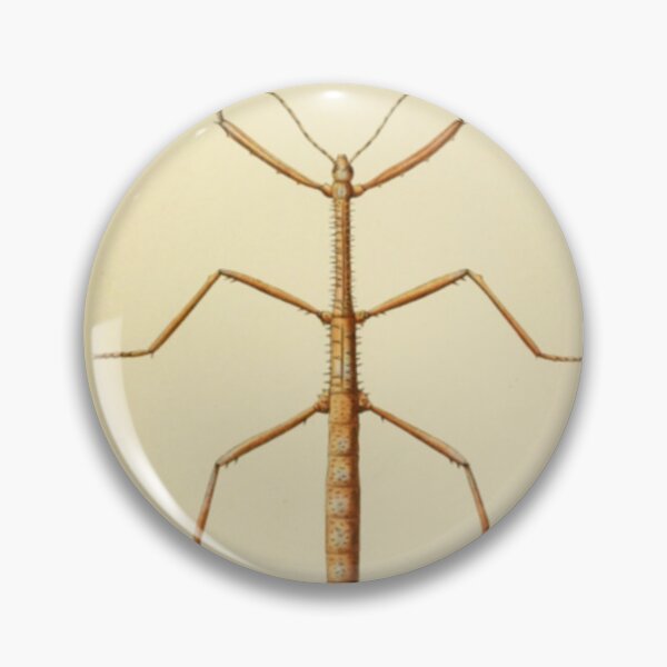 Item preview, Naturalist Stick Insect designed and sold by BlueSpecsStudio.