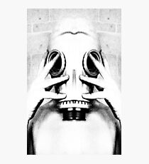 PEEL Photographic Print