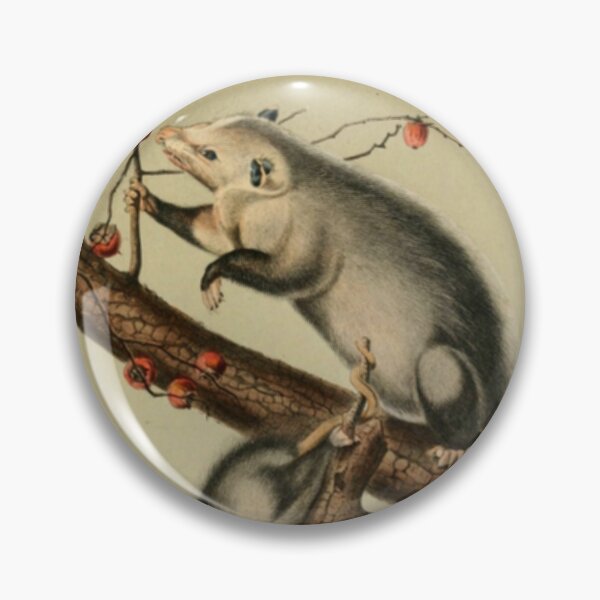 Item preview, Naturalist Opossum designed and sold by BlueSpecsStudio.
