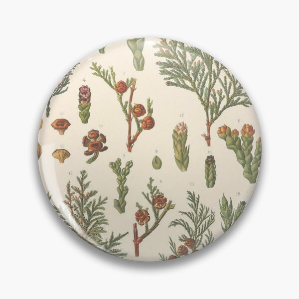 Item preview, Botanical Cedar designed and sold by BlueSpecsStudio.