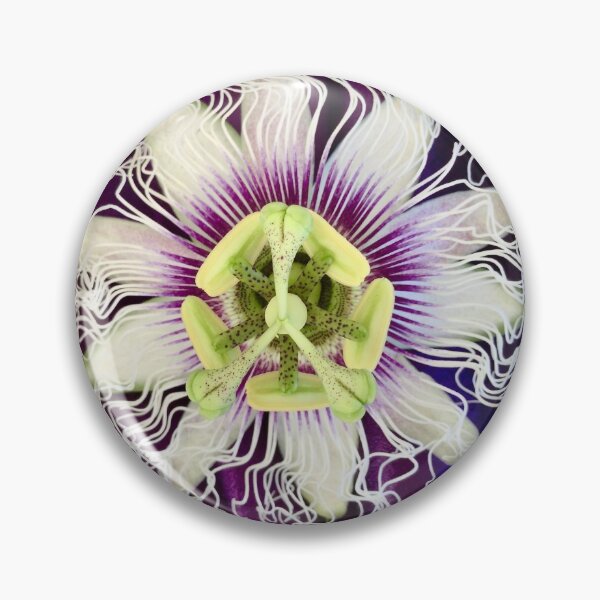 Item preview, Passionfruit flower designed and sold by Robyn Williams.