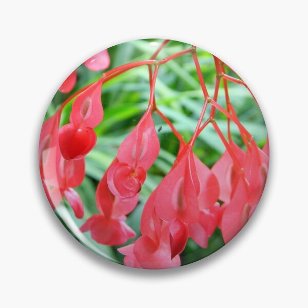 Item preview, Pink Begonia Flower Print designed and sold by EurekaRoad.