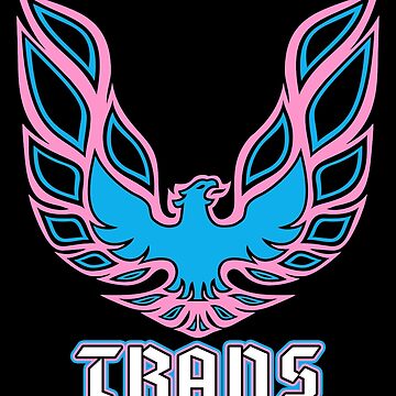 Artwork thumbnail, Trans Visibility by fellowearthling