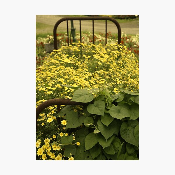 Artikelvorschau, REDREAMING GARDEN BED entworfen und verkauft von REDREAMER.