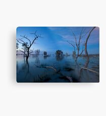 Menindee Metal Print