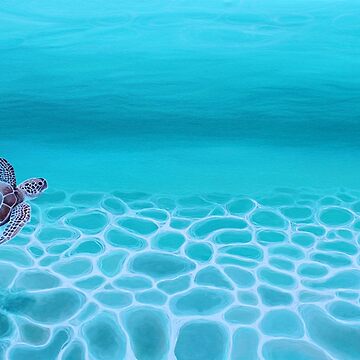 Artwork thumbnail, Turquoise Ocean Turtle by Nicole Grimm-Hewitt