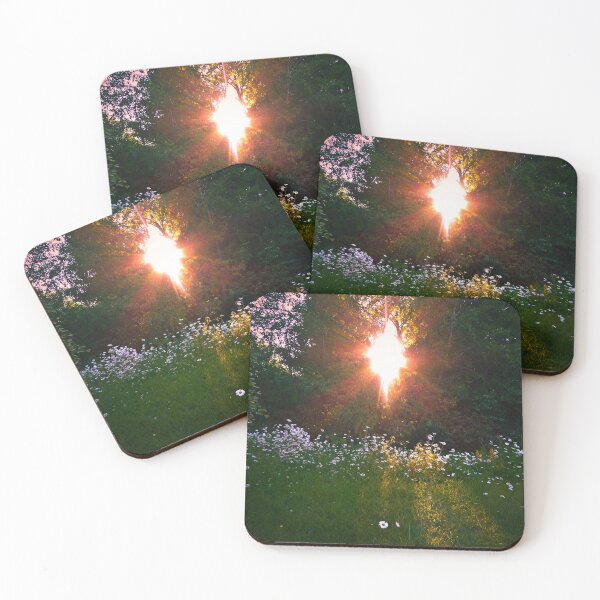 Item preview, WILD DAISIES IN THE SETTING SUN'S LIGHT! designed and sold by Elaine Bawden.
