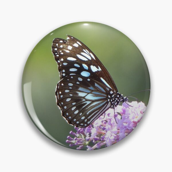 Item preview, Blue Tiger Butterfly designed and sold by Trish Meyer.