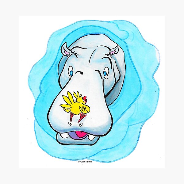 hippo and bird Photographic Print