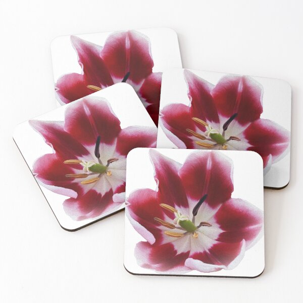 Item preview, Deep red tulip designed and sold by feiermar.