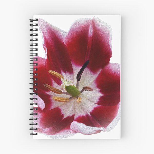 Item preview, Deep red tulip designed and sold by feiermar.