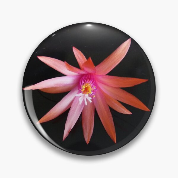 Item preview, Zygocactus 2 designed and sold by Trish Meyer.