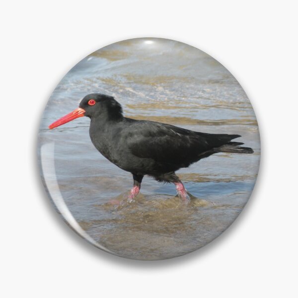 Item preview, Sooty Oystercatcher - striding out purposefully. designed and sold by Trish Meyer.
