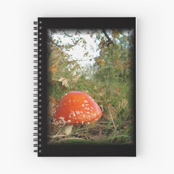 Item preview, Toadstool red and humpy designed and sold by Jenni Ivins.