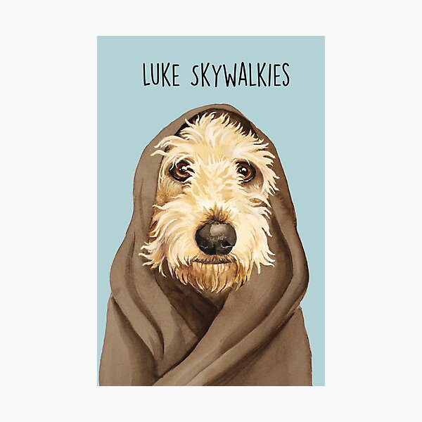 Luke Skywalkies Photographic Print