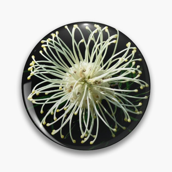 Item preview, Grevillea Moonlight designed and sold by Trish Meyer.