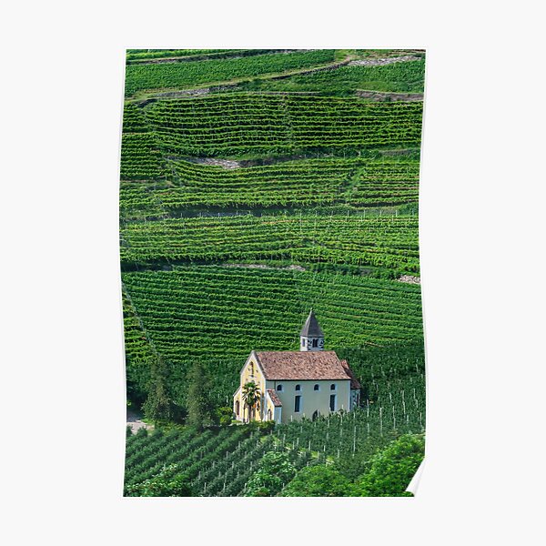 Winery and vineyard in Italy Poster