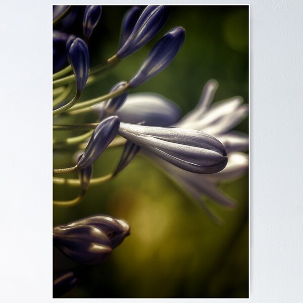Item preview, Love Unconditional.... designed and sold by Sharon House.