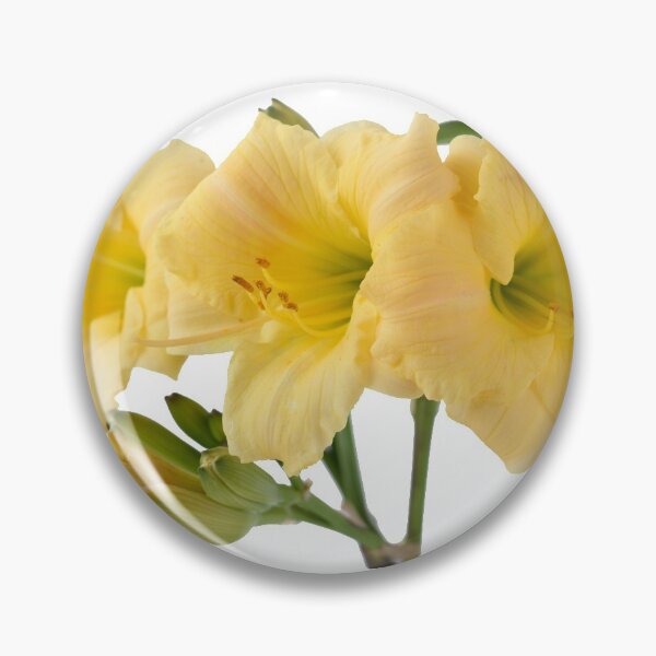 Item preview, Hemerocallis  Daylily designed and sold by Chris Burrows.