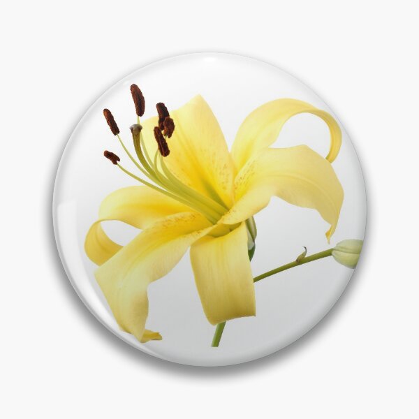 Item preview, Lilium Lily designed and sold by Chris Burrows.