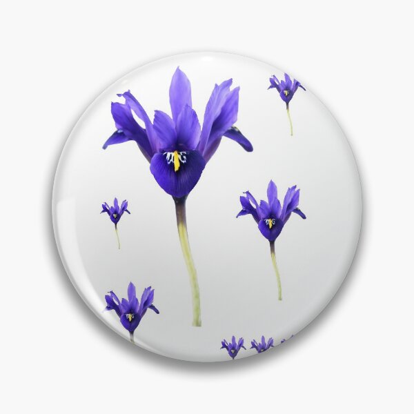 Item preview, Iris  'Palm Springs'  Reticulata   designed and sold by Chris Burrows.