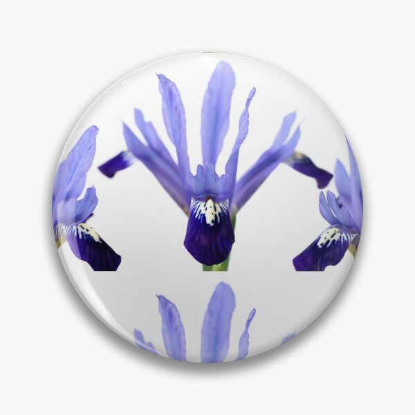 Item preview, Iris  'Fabiola'  Reticulata   designed and sold by Chris Burrows.