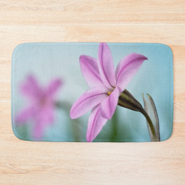Item preview, Ipheion  'Tessa'  Spring starflower designed and sold by Chris Burrows.