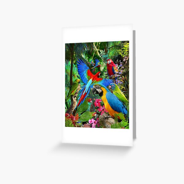 Item preview, Parrots designed and sold by DavidPenfound.