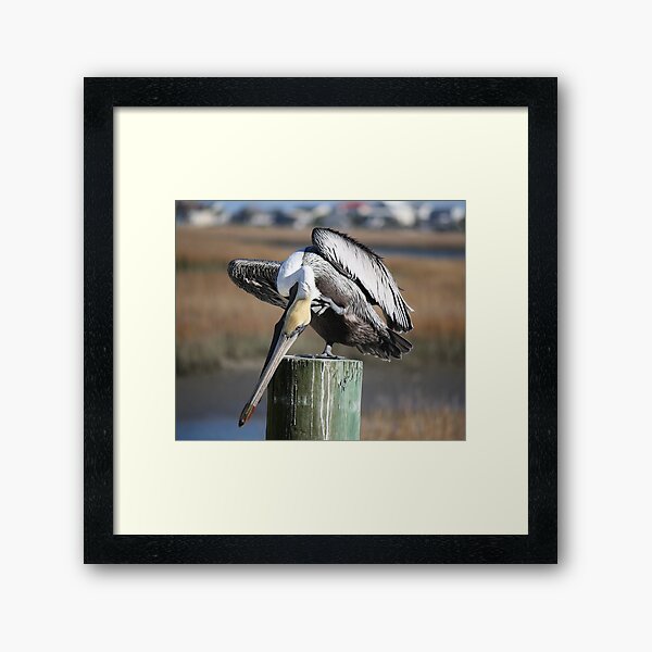 Item preview, Pelican with an Itch designed and sold by Paulette1021.