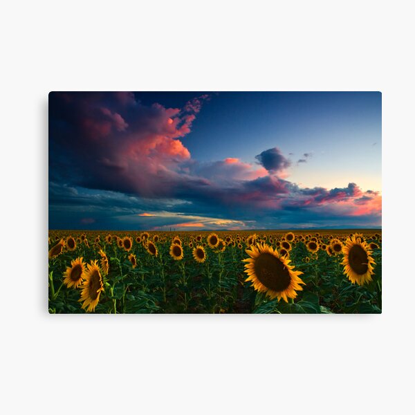 Skies Of A Summer Sunset Canvas Print