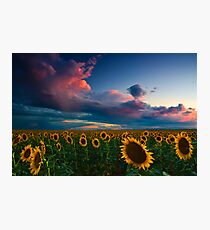 Skies Of A Summer Sunset Photographic Print