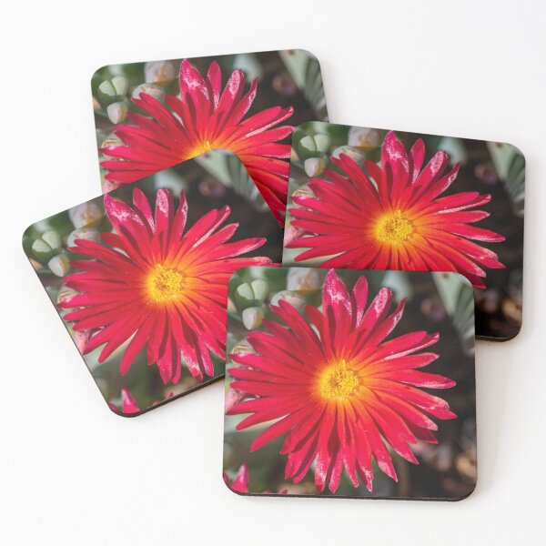 Item preview, Red flower designed and sold by iCimages.net.
