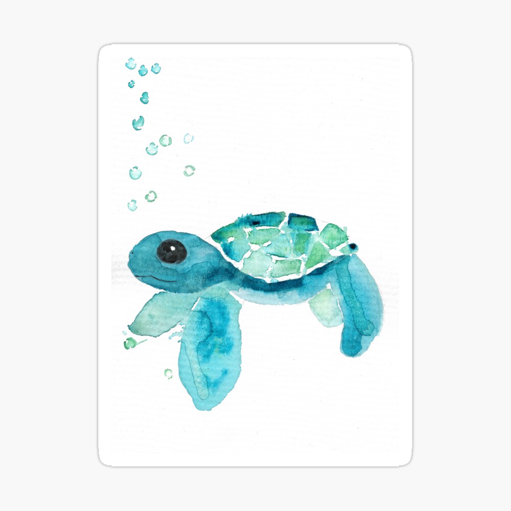 turtle watercolour