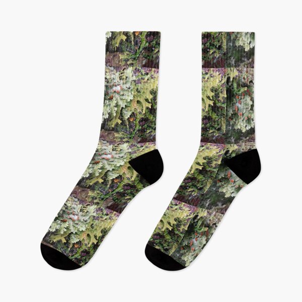 Item preview, Lichen Spores, Cradle Mountain, Tasmania, Australia.  designed and sold by kaysharp.