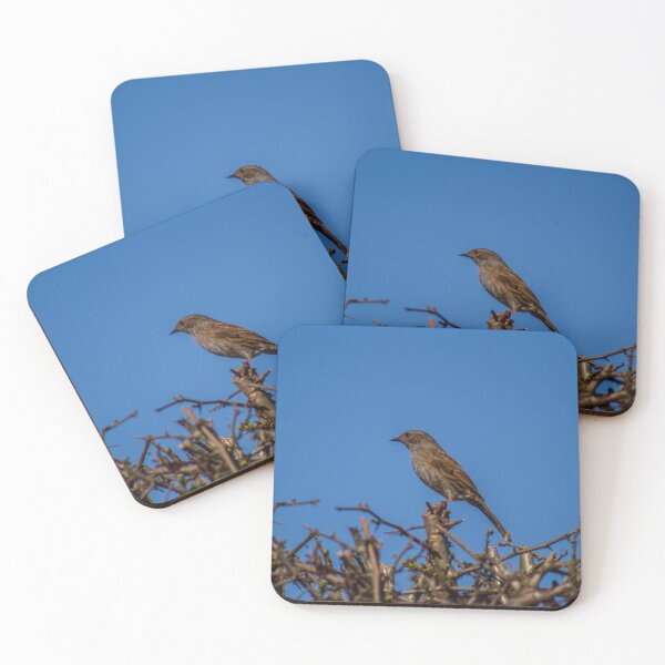 Item preview, Dunnock designed and sold by chirs1990.