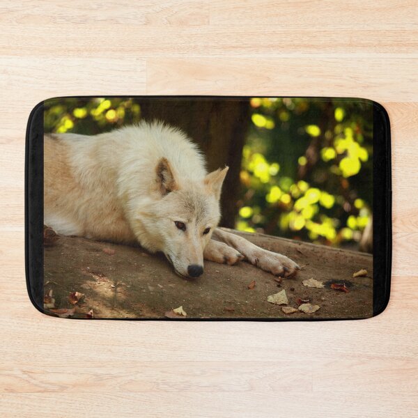 Item preview, Arctic Wolf: Contemplative designed and sold by TVD-Photography.