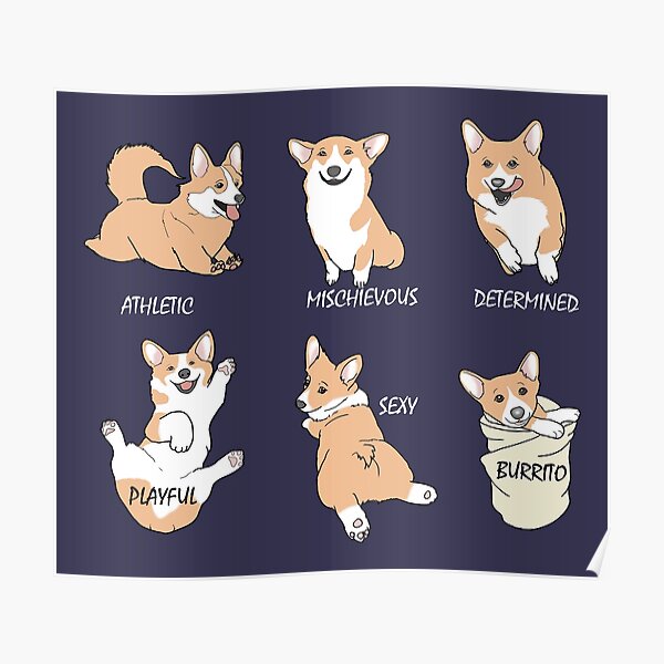 Corgi Personality Traits Pembroke Welsh Corgi Illustration Poster By Sofiadim Redbubble