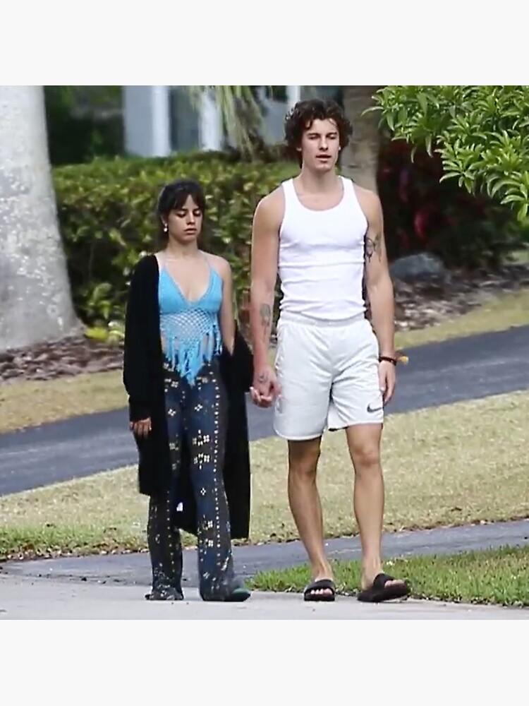 "Camila & Shawn Quarantine" Poster by crumpetstrumpet Redbubble