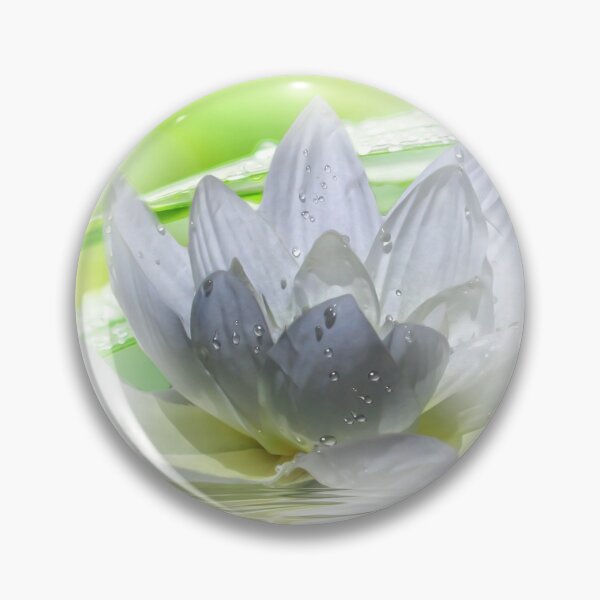 Artikelvorschau, Wasserlilie - water lily entworfen und verkauft von harietteh.