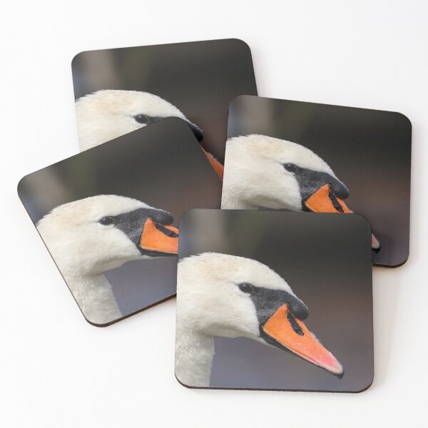 Item preview, Mute swan portrait designed and sold by GreyFeatherPhot.