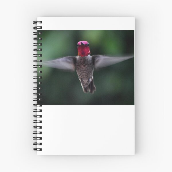 Item preview, HUMMINGBIRD ANNA'S DOING HIS THING FOR THE PHOTOGRAPHER designed and sold by JAYMILO.