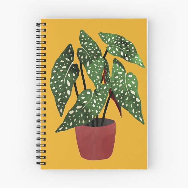 Item preview, Begonia maculata flowerpot watercolor designed and sold by Elbuenlimon.