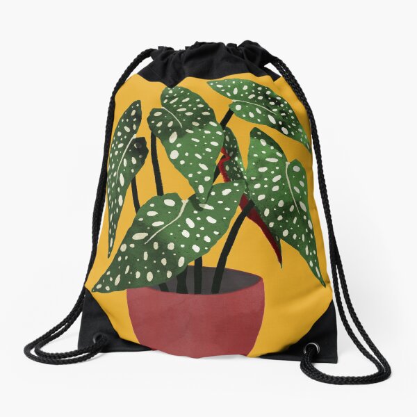 Aperçu de l'œuvre Aquarelle de pot de fleurs Begonia maculata créée et vendue par Elbuenlimon.