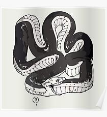 Chloe's Snake Shirt - Episode 5 Poster