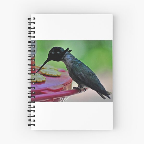 Item preview, HUMMINGBIRD COSTA'S ON FEEDER PERCH #3 designed and sold by JAYMILO.