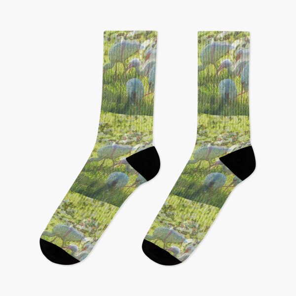 Item preview, Illusionary Ibis Flock designed and sold by kristalcurt.