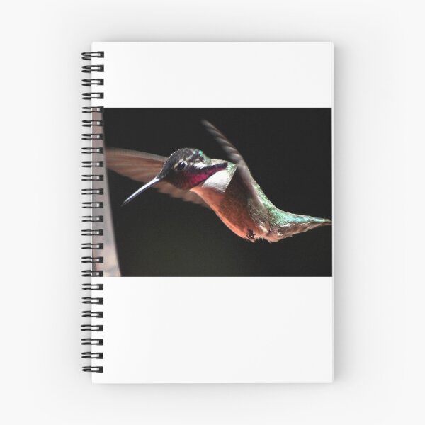 Item preview, HUMMINGBIRD COSTA'S IN FLIGHT #2 designed and sold by JAYMILO.